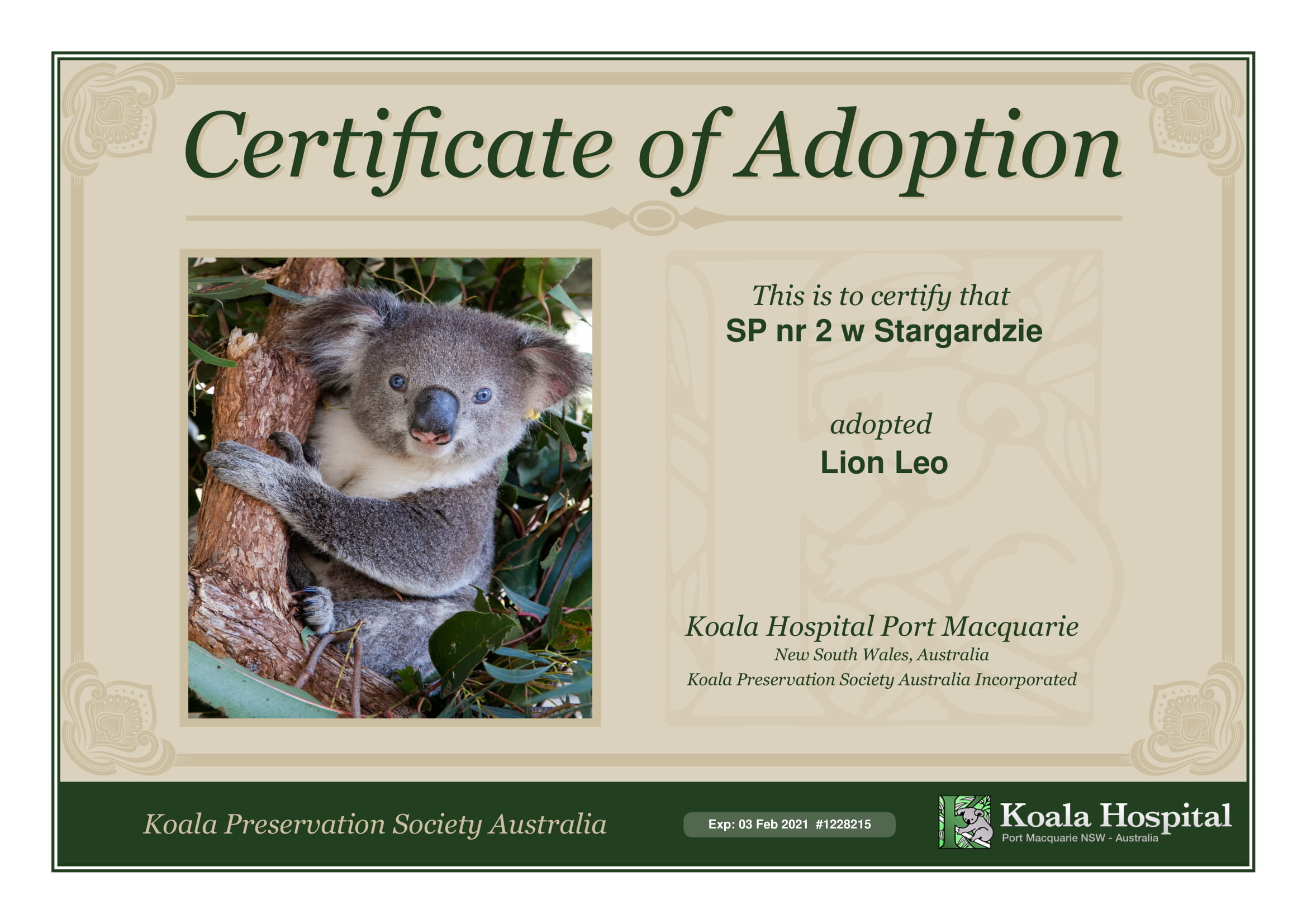 Koala Adoption Certificate 1